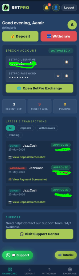 BetPro Vault app dashboard — home screen showing wallet balance deposit withdrawal and navigation menu